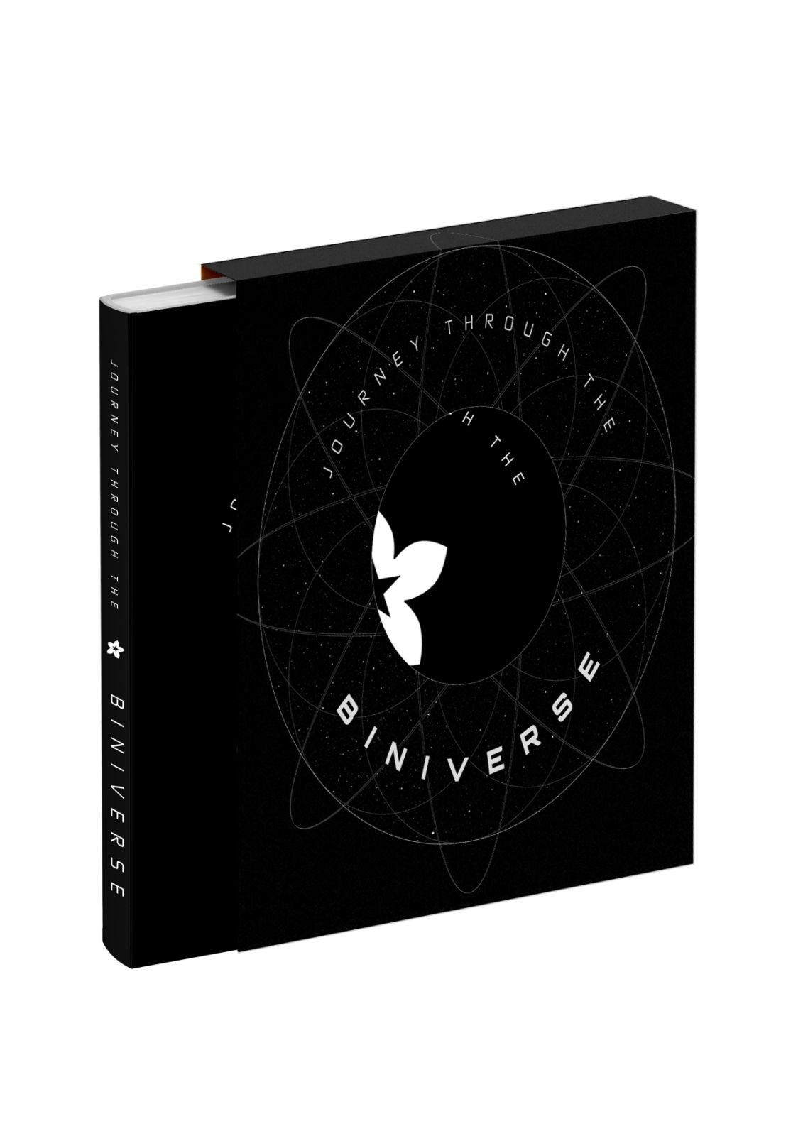 Journey Through the Biniverse Photo Journal