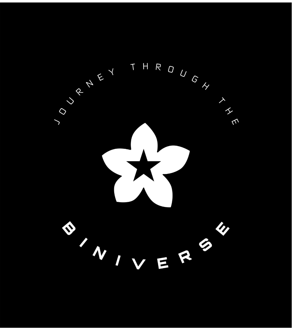 Journey Through the Biniverse Photo Journal